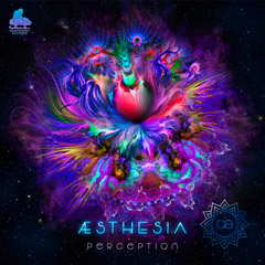 aesthesia-perception