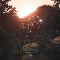 frog-prog-triangulum