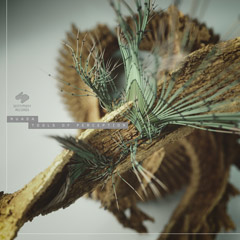 nuada-tools-of-perception