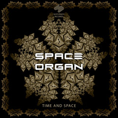 space-organ-time-and-space