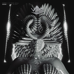 vorg-cyber-soul-night